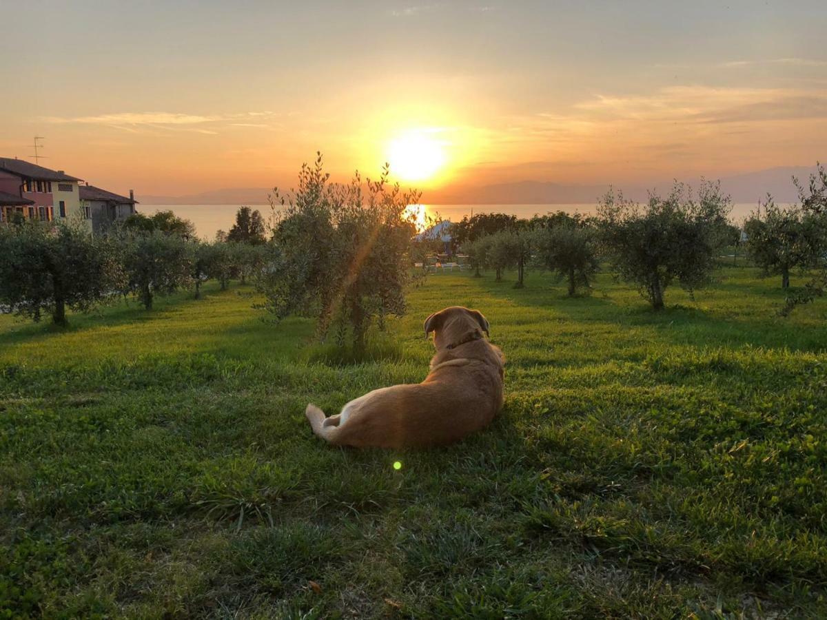 Agriturismo Al-Bor Lazise Exterior foto